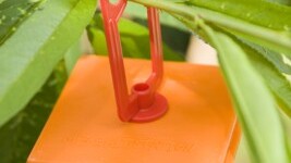 M3 Fruit Fly Bait Station in Tree
